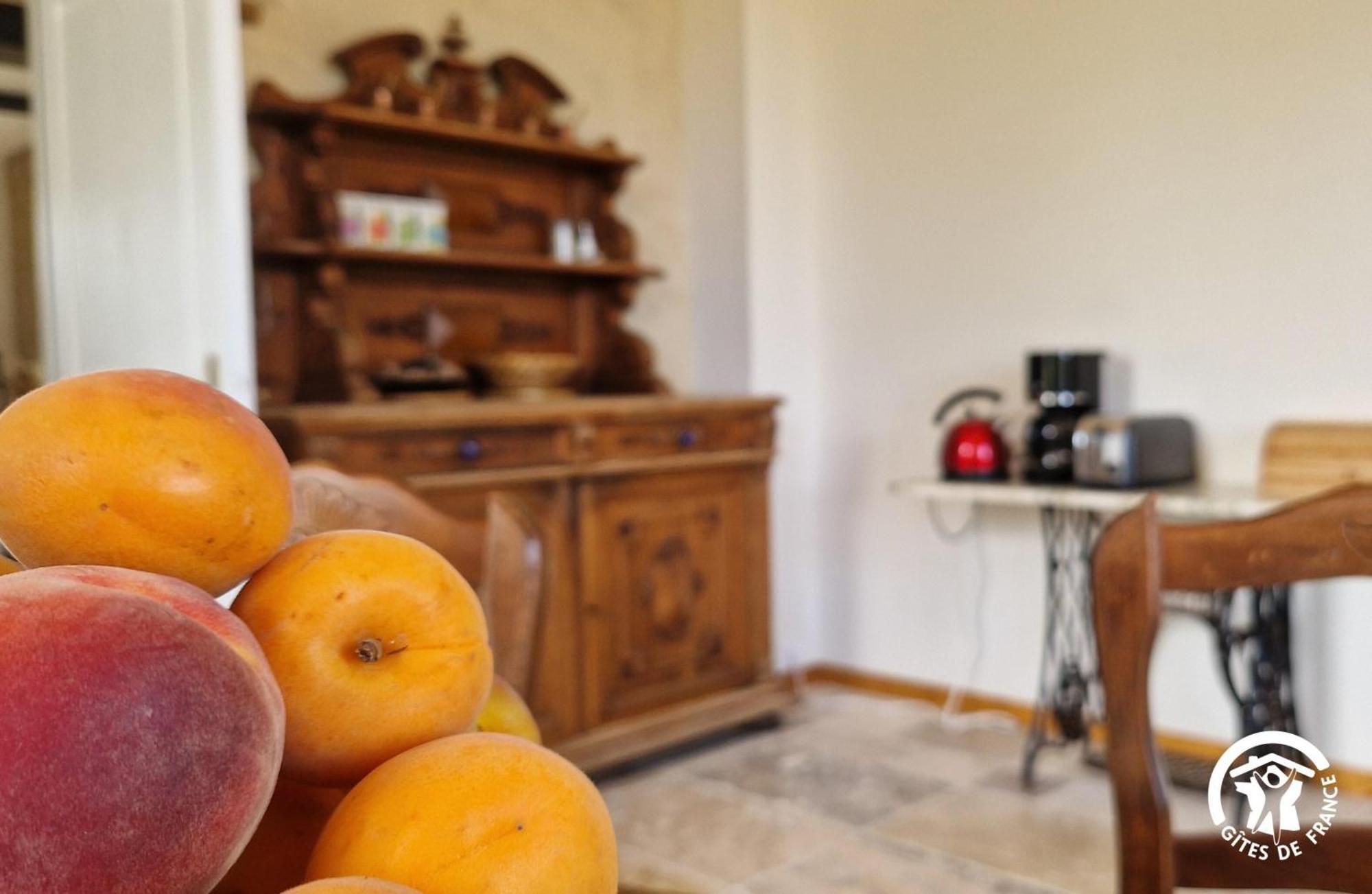 Aux Roses De Cedres Chambre Savane Salvagnac Εξωτερικό φωτογραφία