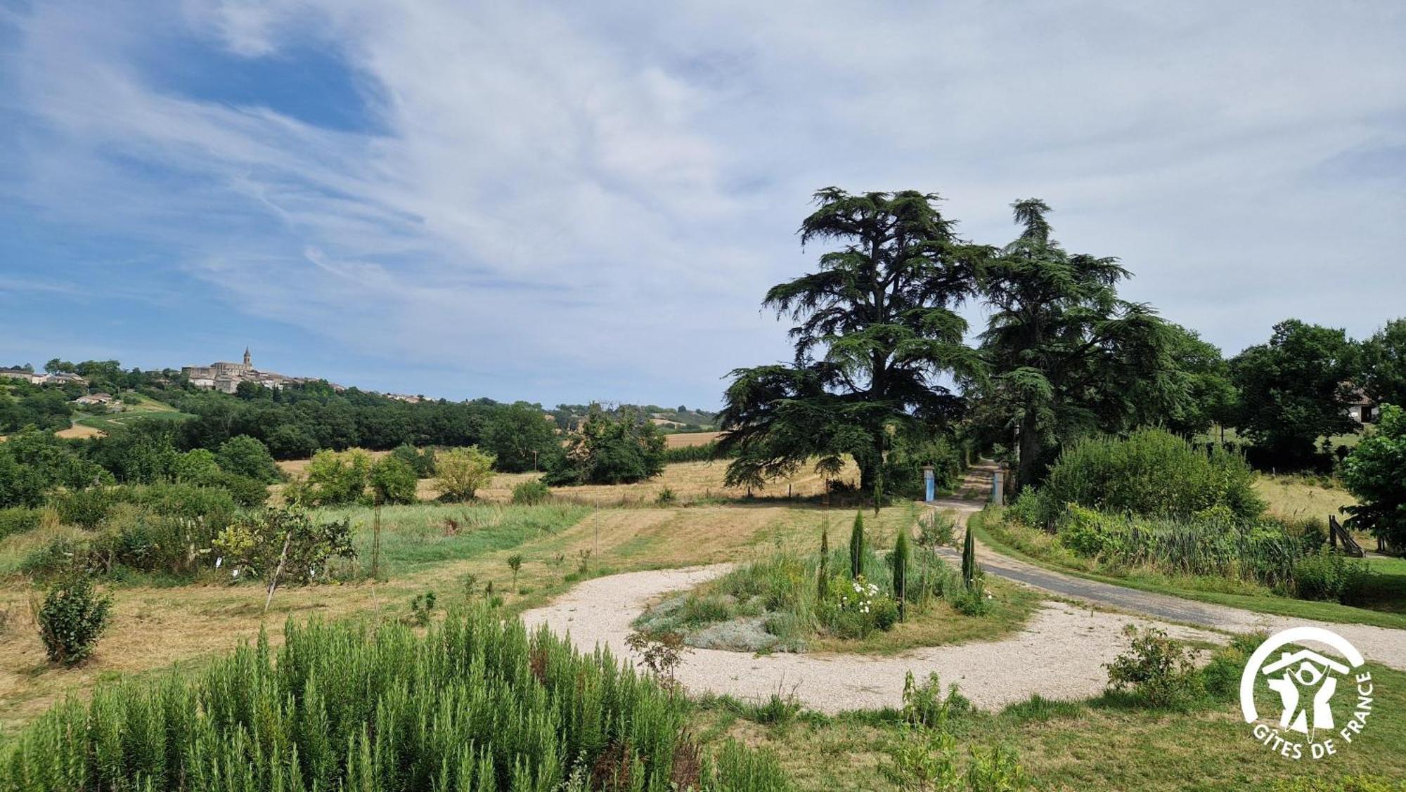 Aux Roses De Cedres Chambre Savane Salvagnac Εξωτερικό φωτογραφία