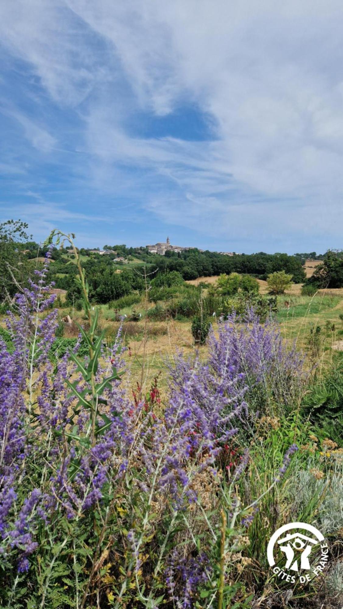 Aux Roses De Cedres Chambre Savane Salvagnac Εξωτερικό φωτογραφία