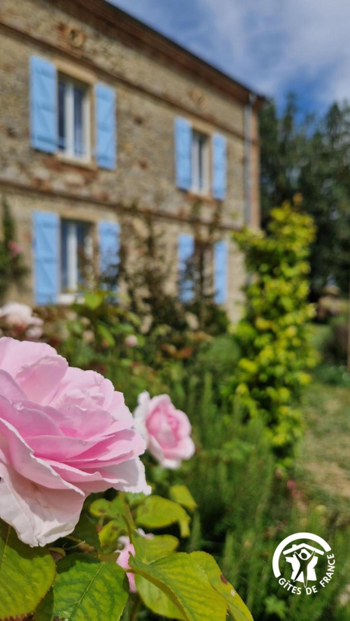 Aux Roses De Cedres Chambre Savane Salvagnac Εξωτερικό φωτογραφία